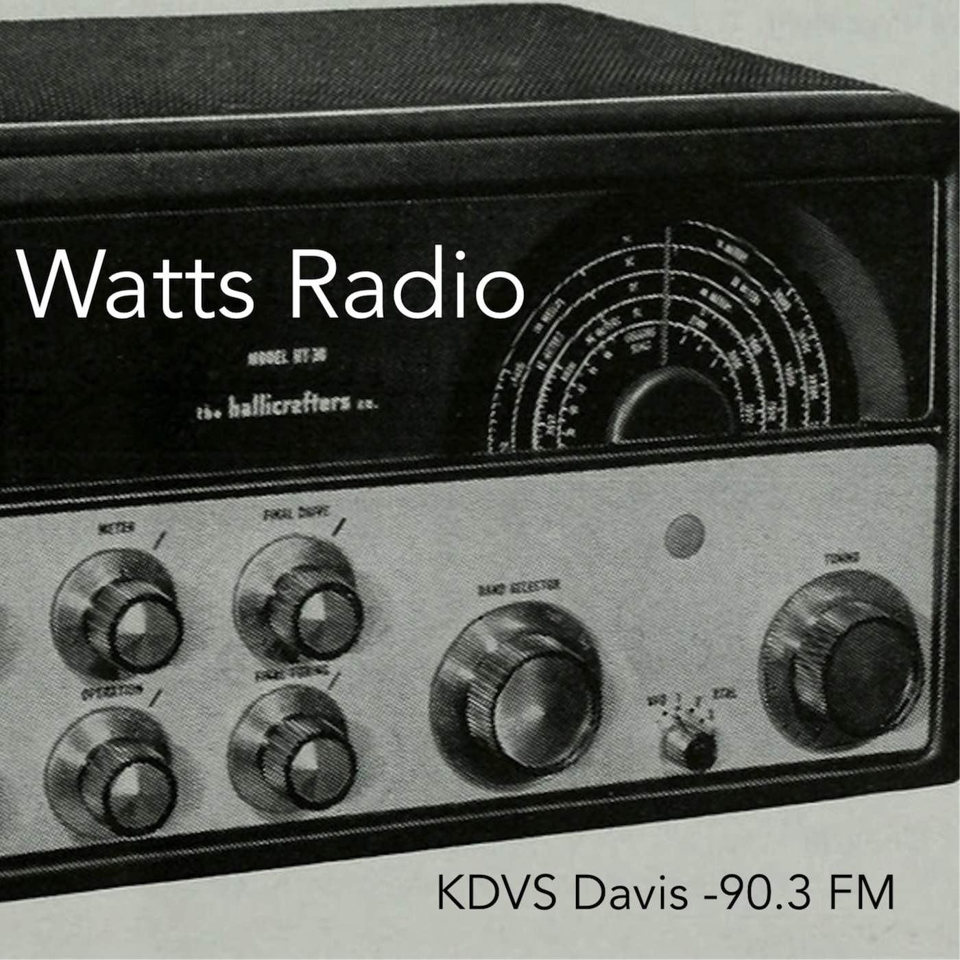 Watts Radio – E33 – Automated Freight